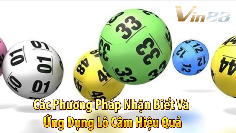 Các Phương Pháp Nhận Biết Và Ứng Dụng Lô Câm Hiệu Quả