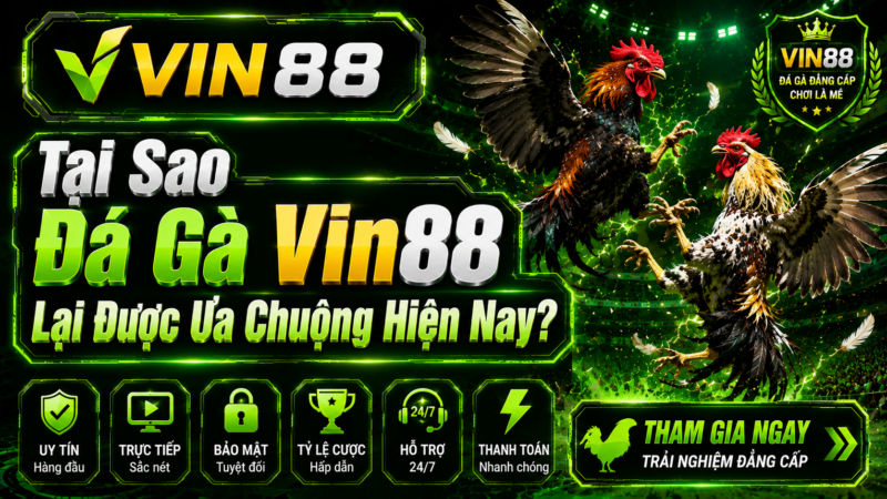 Tại Sao Đá Gà Vin88 Lại Được Ưa Chuộng Hiện Nay?