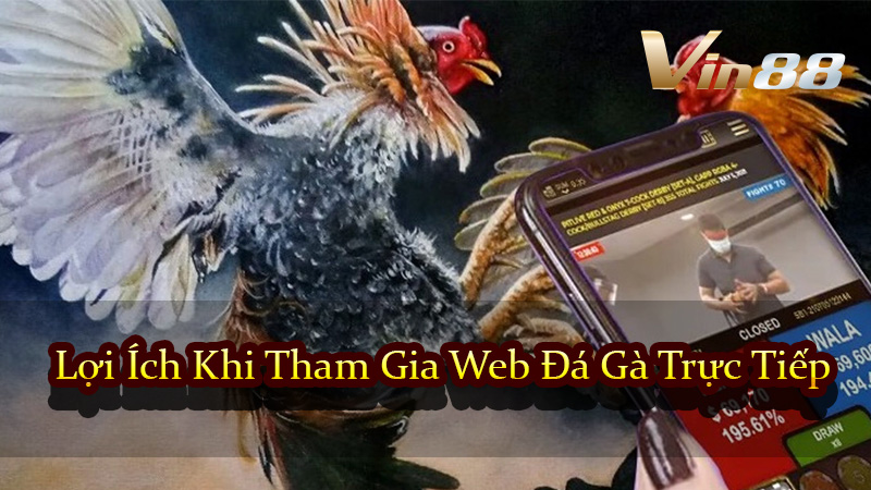 Lợi Ích Khi Tham Gia Web Đá Gà Trực Tiếp