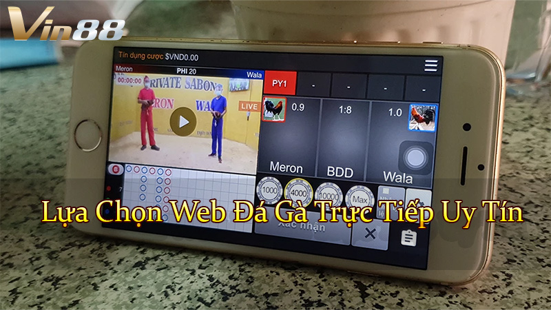 Lựa Chọn Web Đá Gà Trực Tiếp Uy Tín