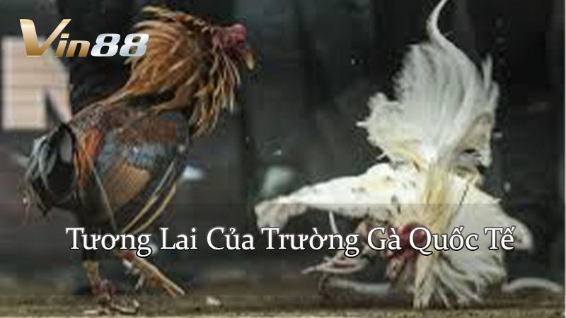 Tương Lai Của Trường Gà Quốc Tế